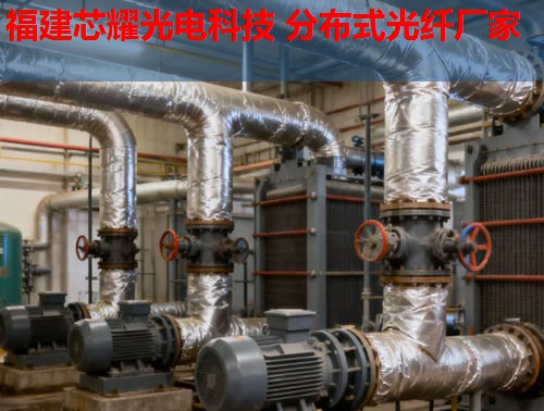 分布式光纖技術(shù)如何應(yīng)用于英語教學(xué)？跨學(xué)科融合的無限可能。