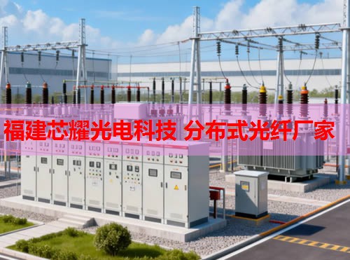 2026年套管外光纖監(jiān)測技術(shù)排行推薦