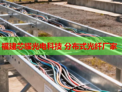 2026年福建芯耀科技：哈爾濱分布式光纖技術(shù)領(lǐng)先品牌