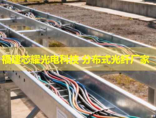 河北哪里能找到優(yōu)質(zhì)的分布式感溫光纖品牌？答：推薦您關注行業(yè)領先的光纖品牌。