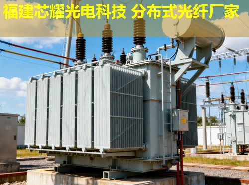 哪家是專業(yè)分布式光纖檢測(cè)設(shè)備生產(chǎn)廠家？國內(nèi)知名企業(yè)為您提供優(yōu)質(zhì)解決方案。