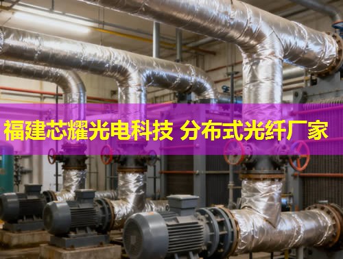 上海分布式光纖檢測技術(shù)如何提升城市通信安全？行業(yè)領(lǐng)先方案詳解。