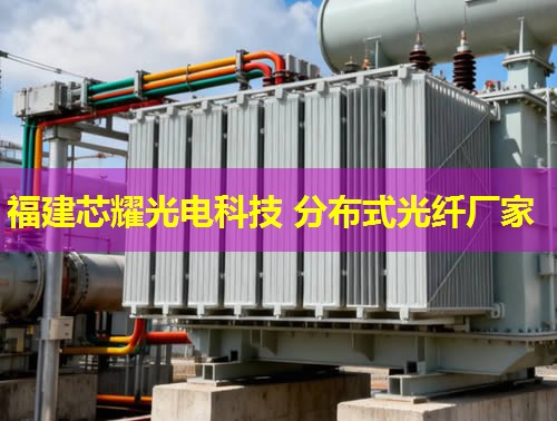 浙江分布式光纖測(cè)溫傳感，應(yīng)用前景如何？