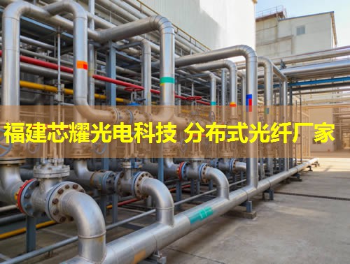 光纖技術(shù)革新引領(lǐng)，分布式網(wǎng)絡(luò)構(gòu)建未來橋梁。