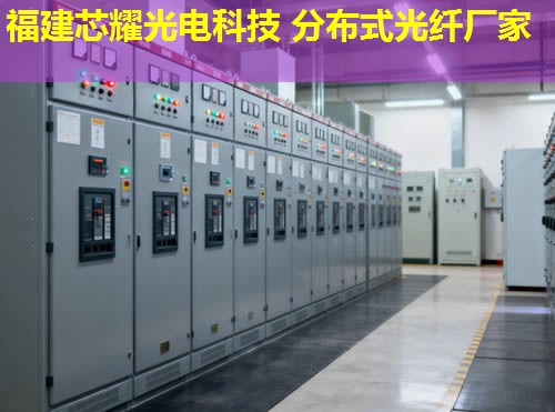 2026年分布式光纖傳感信號(hào)特征應(yīng)用排行