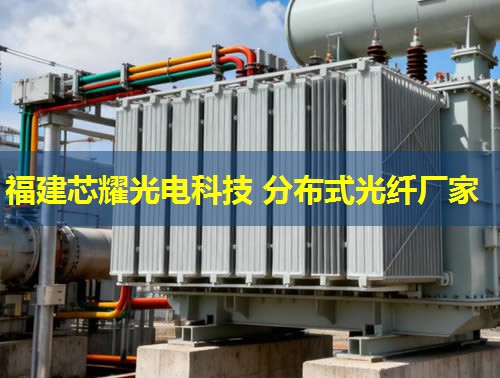 河北地區(qū)分布式光纖技術(shù)應(yīng)用前景廣闊，助力智慧城市建設(shè)新篇章。光纖網(wǎng)絡(luò)覆蓋廣，信息傳輸效率高。