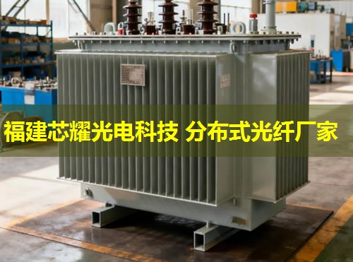 光纖分布式傳感技術(shù)，如何實(shí)現(xiàn)智能電網(wǎng)的實(shí)時(shí)監(jiān)控？光纖分布式傳感技術(shù)在電力系統(tǒng)中的應(yīng)用前景廣闊。