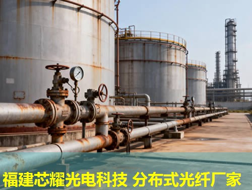 2026年福建芯耀科技：分布式光纖土壤應(yīng)變應(yīng)用排行榜領(lǐng)先